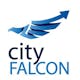 Cityfalcon