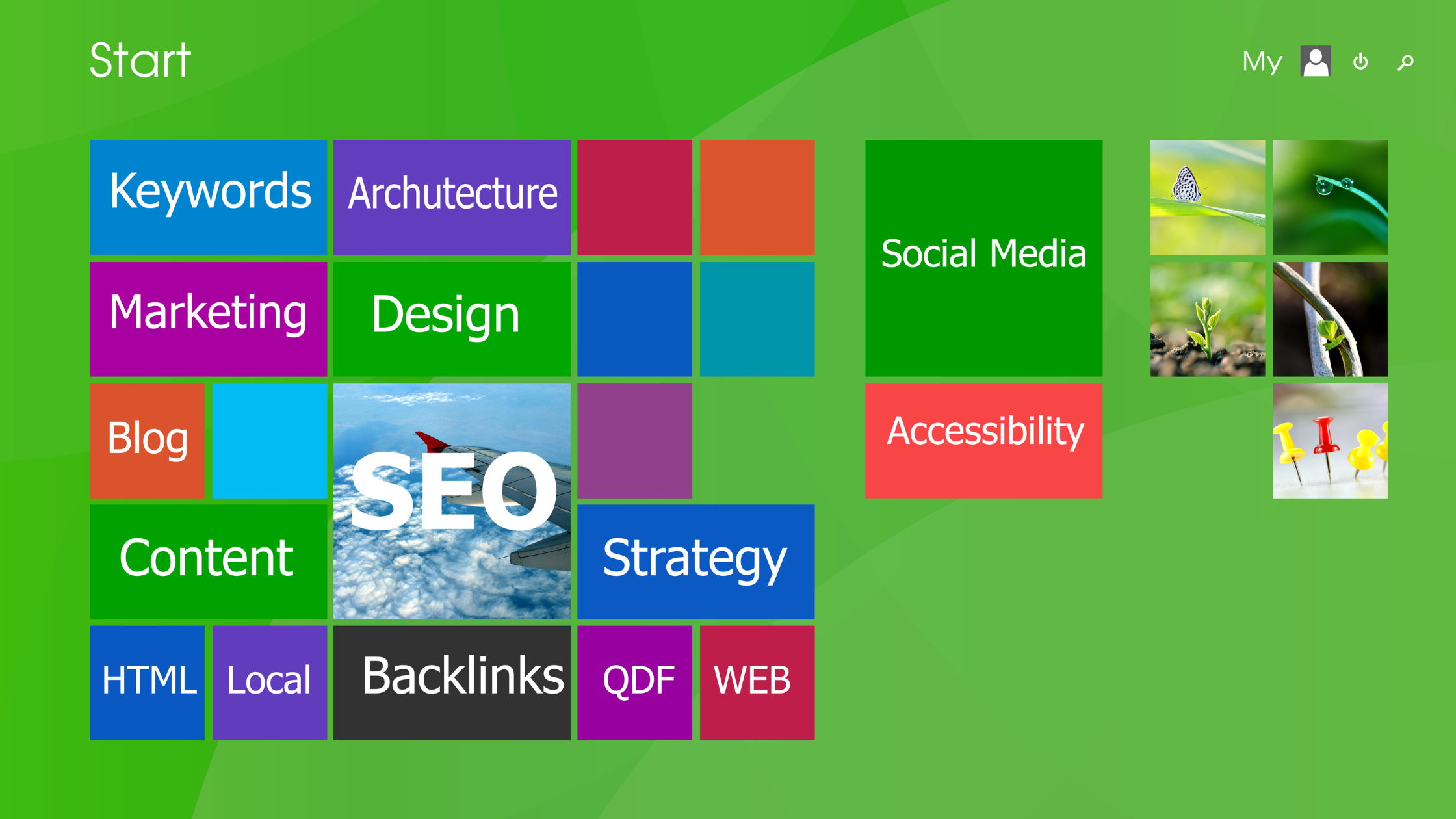SEO Solutions for Digital Triumph