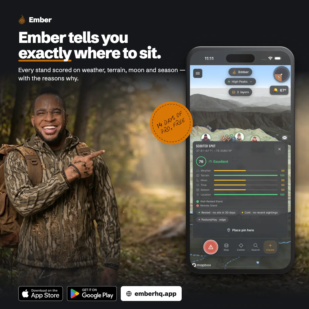 Ember Hunt gallery image
