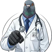 Doctor Pigeon