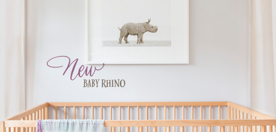 Animal Print Shop gallery image