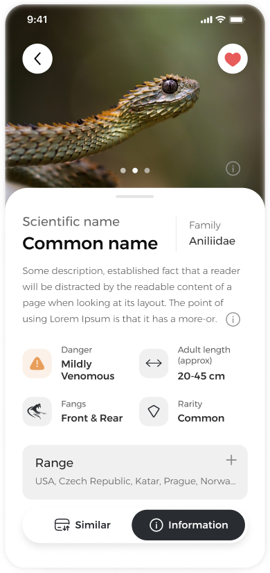 Snake.name gallery image