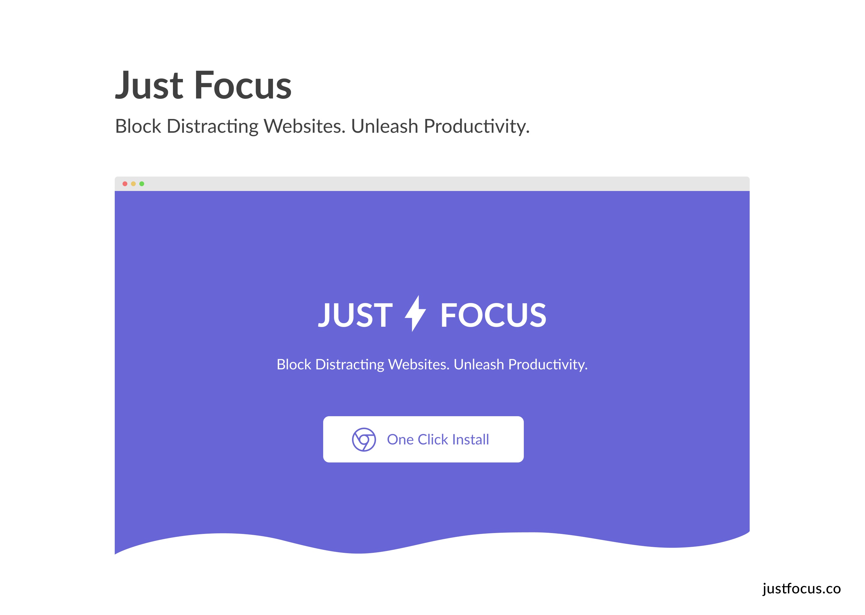 Just Focus gallery image