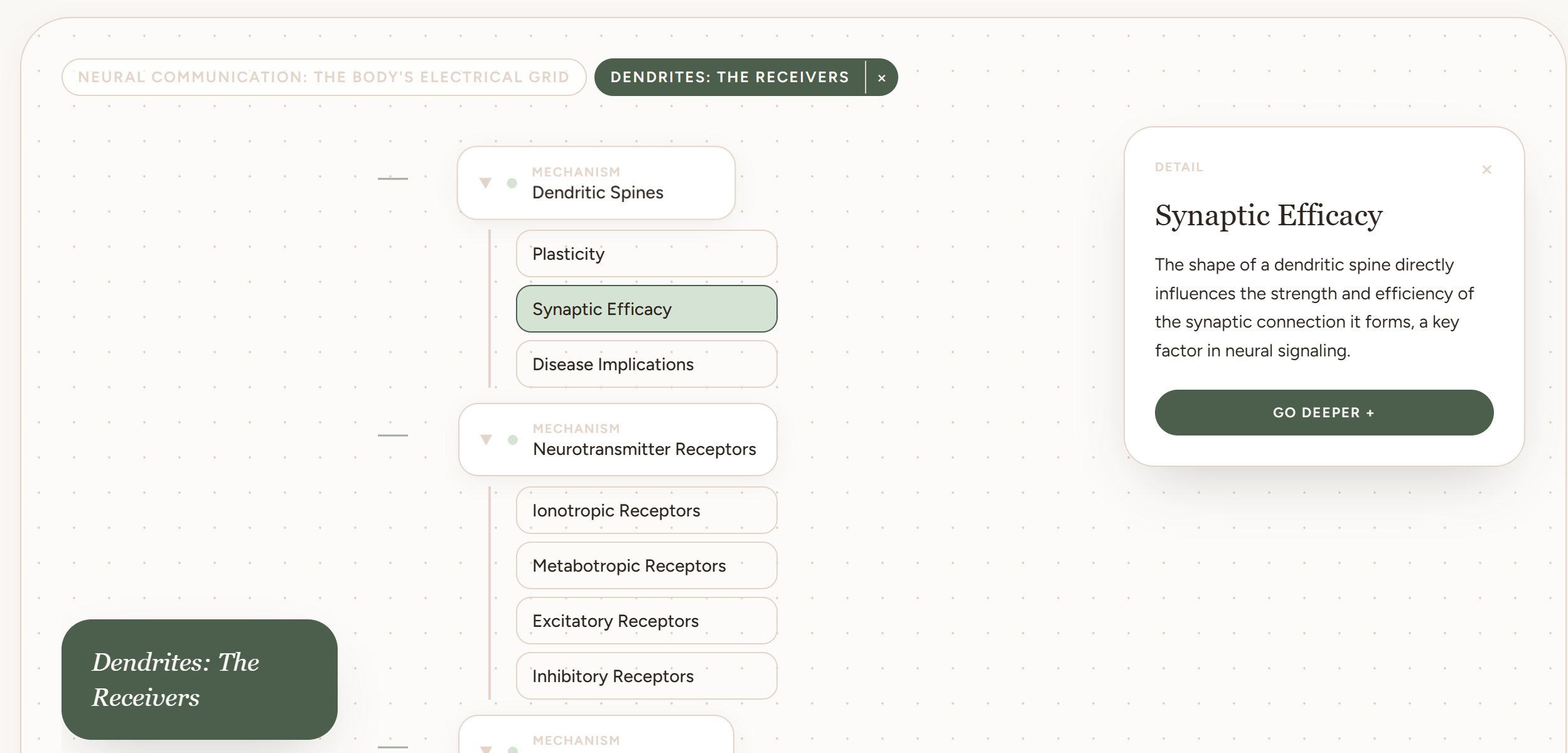 The Learning Garden  gallery image