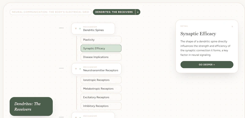 The Learning Garden  screenshot 3