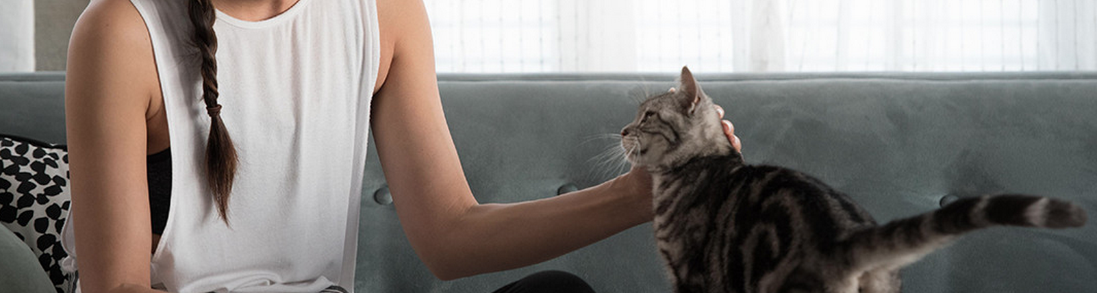 Petnet gallery image