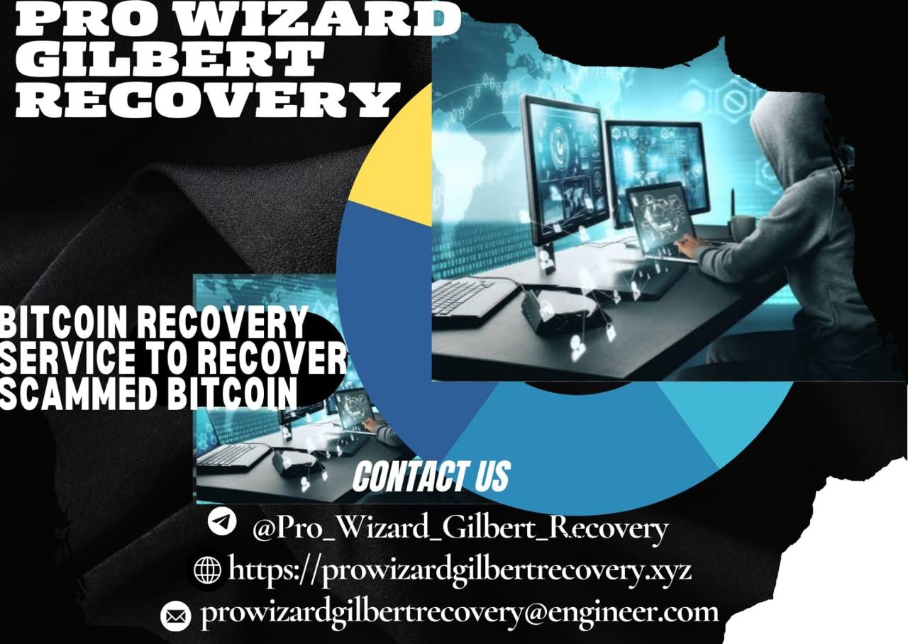 Expert Pro Wizard Gilbert Recovery media 3