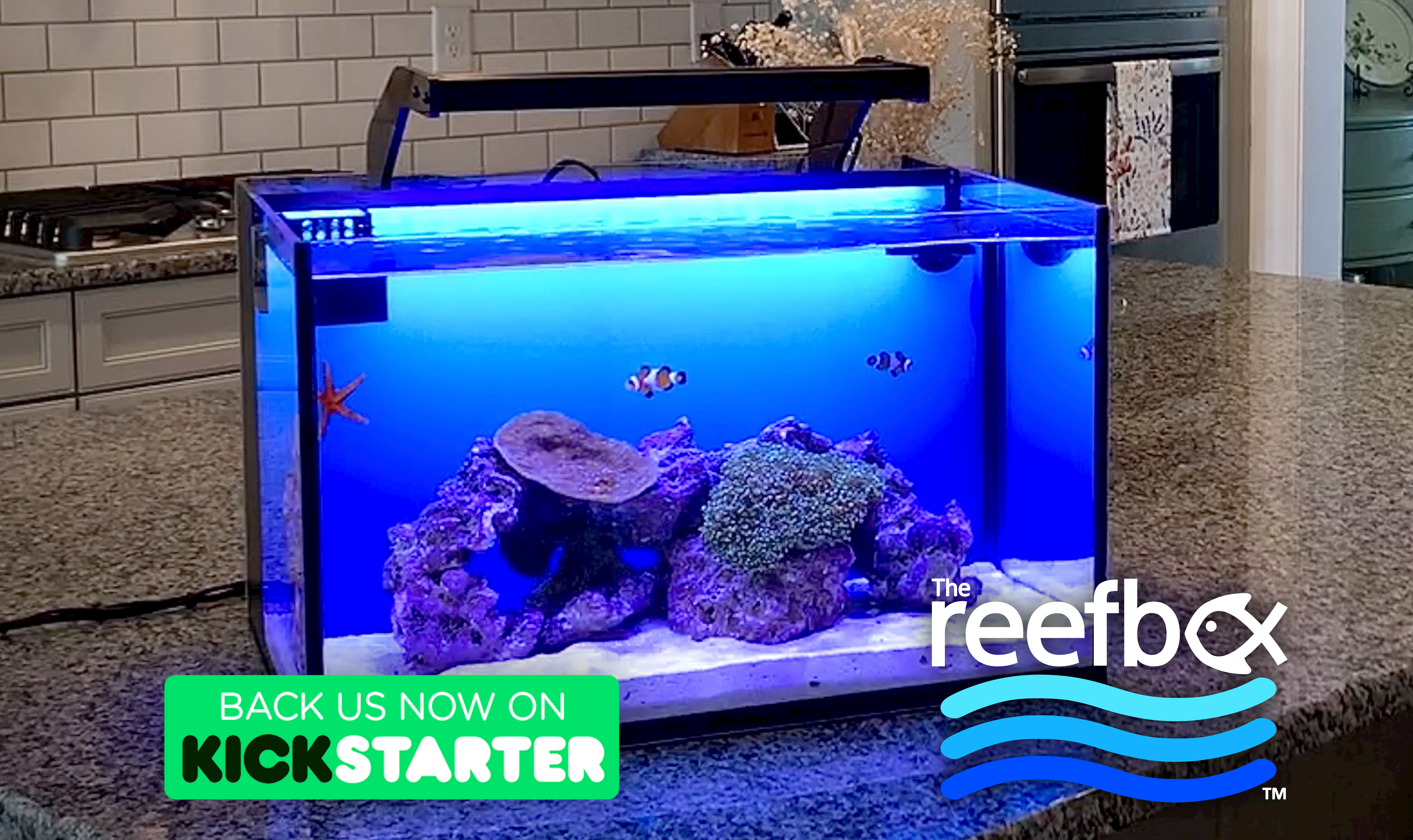theReefbox™ All-in-One Aquarium