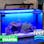 theReefbox™ All-in-One Aquarium