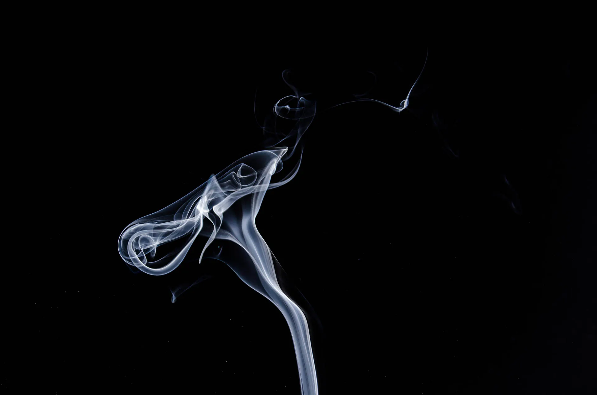 ausmokers gallery image