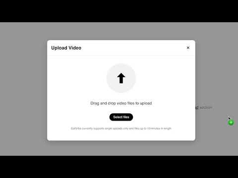 EditVibe AI gallery image
