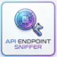 API Sniffer - Endpoint Detector
