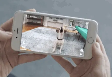 Petcube Bites + Petcube Play
