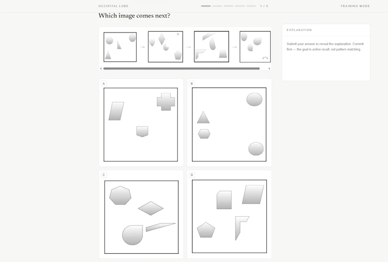 The first metacognitive assessment screenshot 3