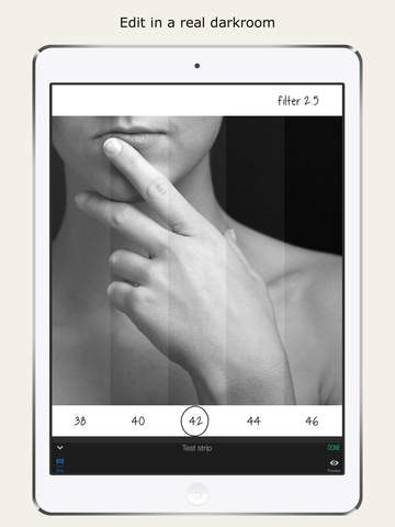 Analogue camera app gallery image