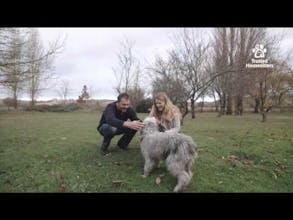 TrustedHousesitters gallery image