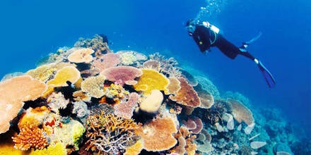 Australia tour packages gallery image