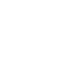 Network as a Prompt gallery image