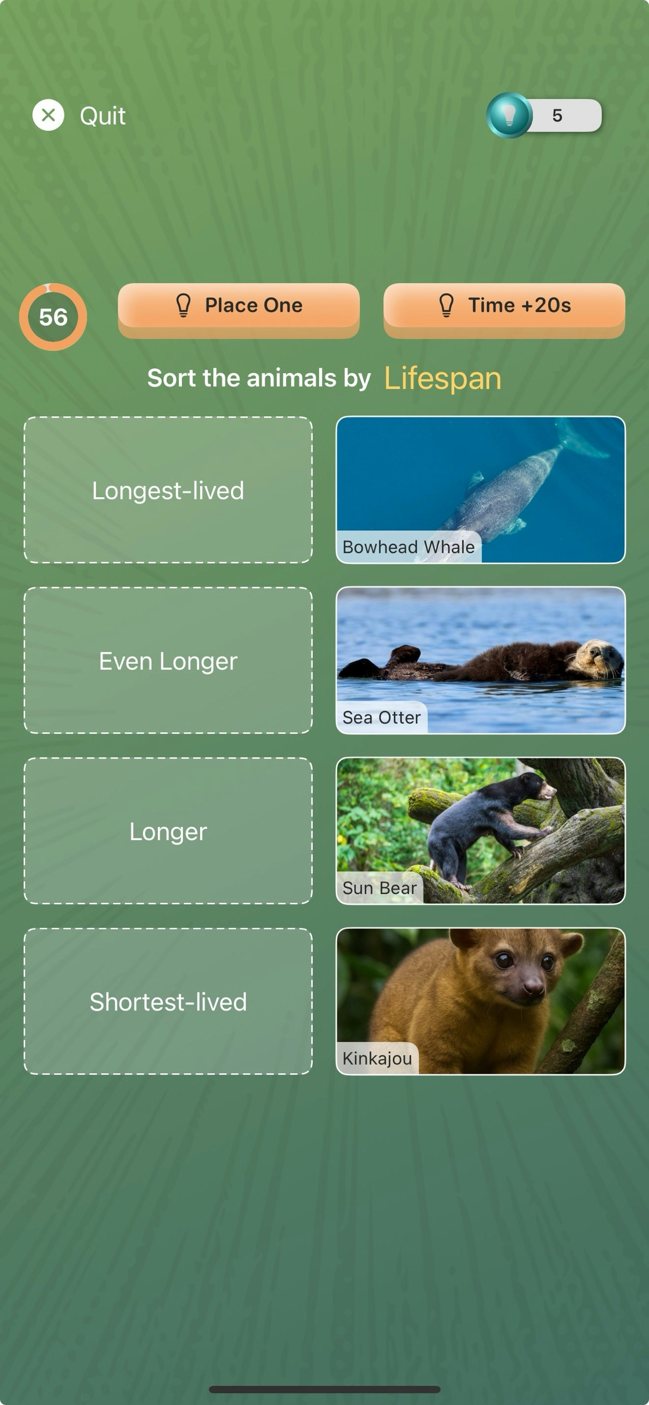 Animalz: Learn & Collect gallery image