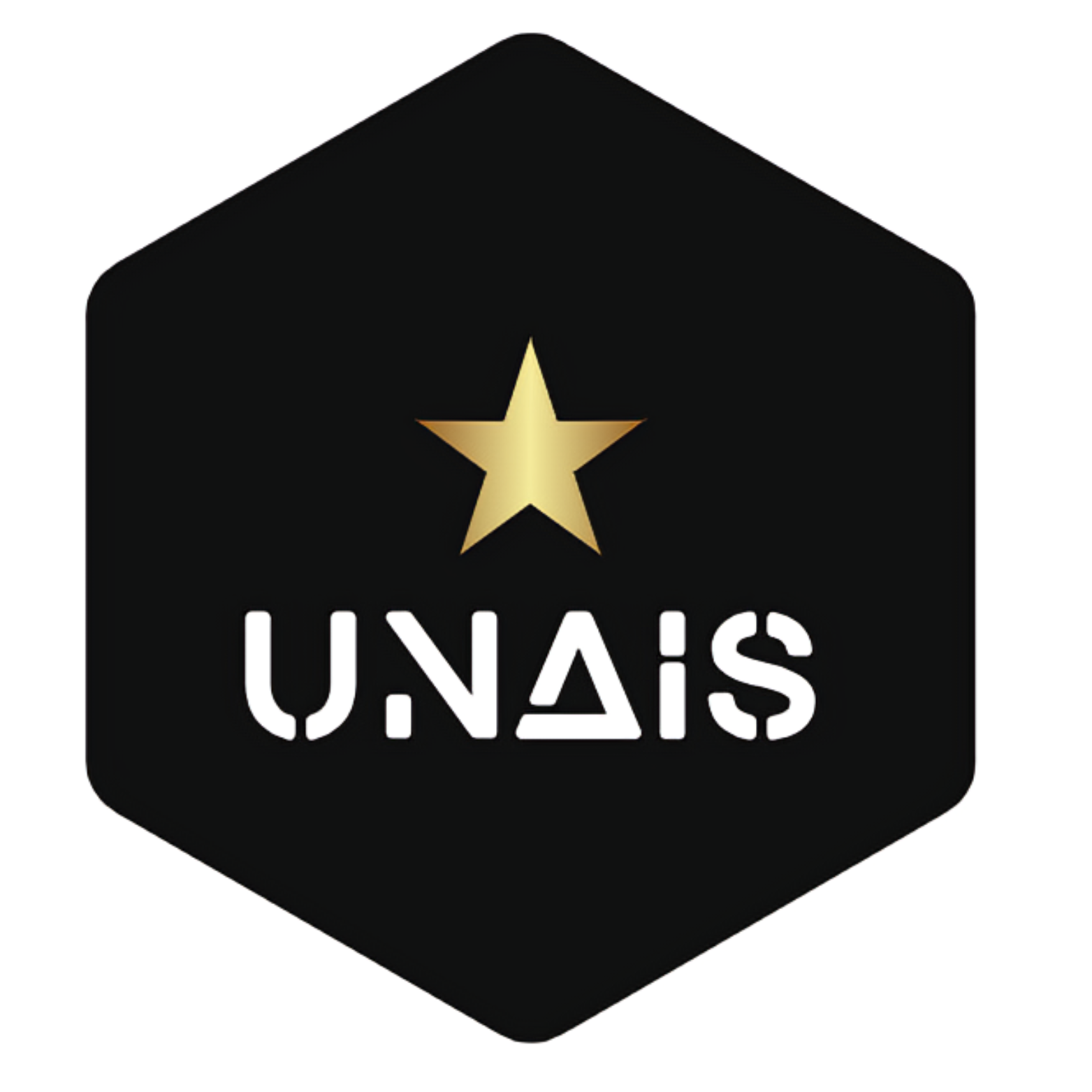 UNAIS – The AI-Powered Co-Founder Layer
