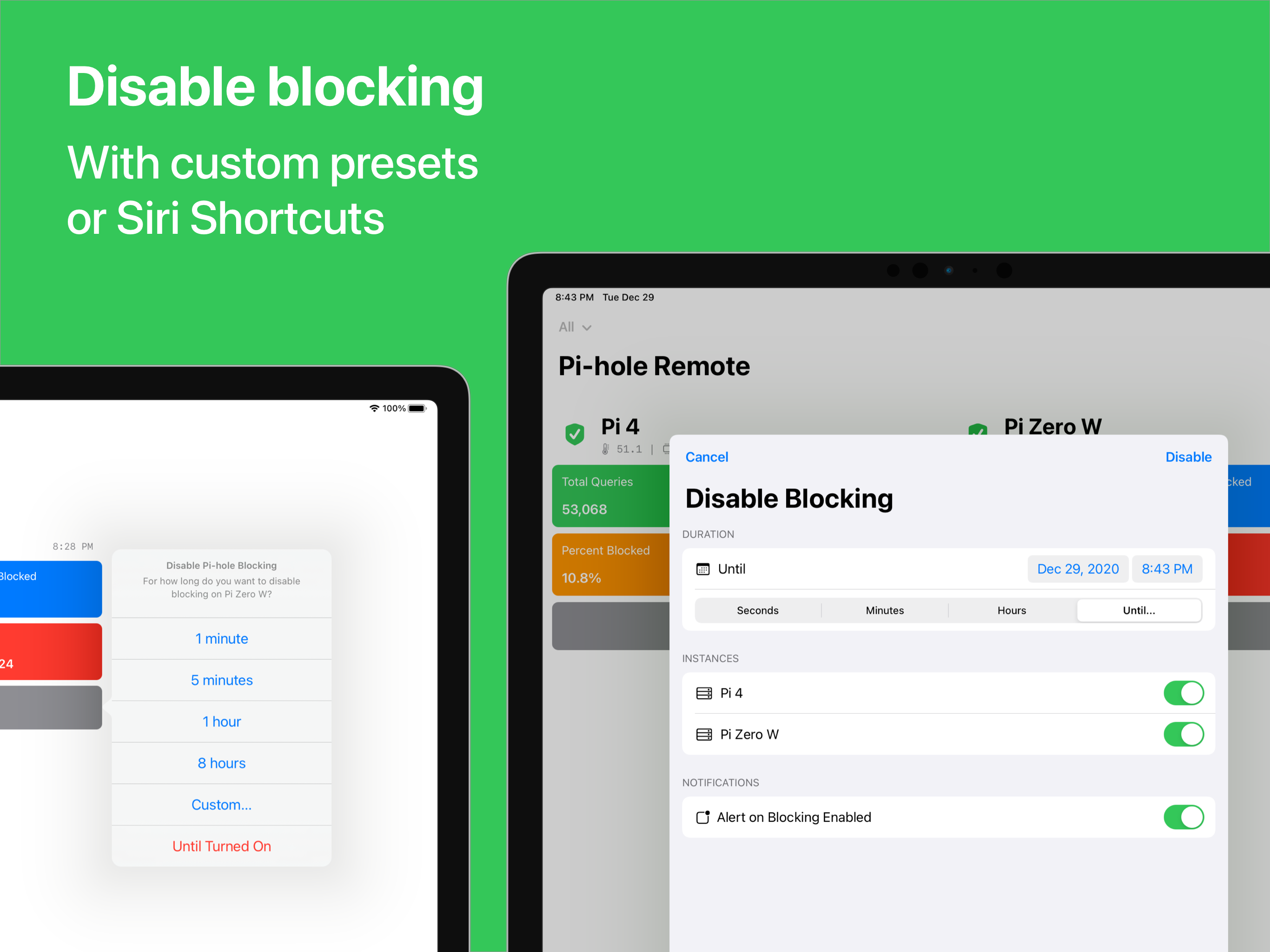 Pi-hole Remote gallery image