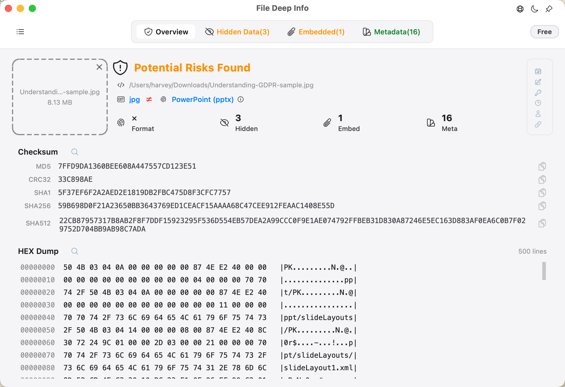 File Deep Info: Hidden Data