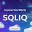 SQL IQ