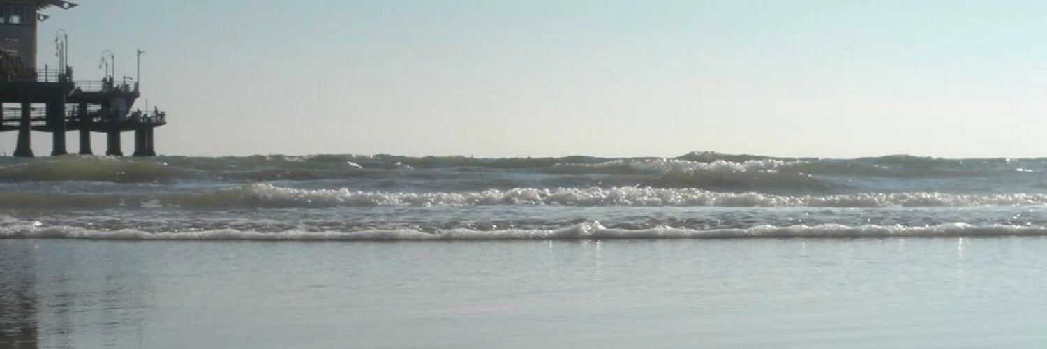 Martin H. Normark cover