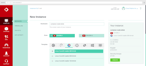 Mega and Titan VM instances on Exoscale gallery image