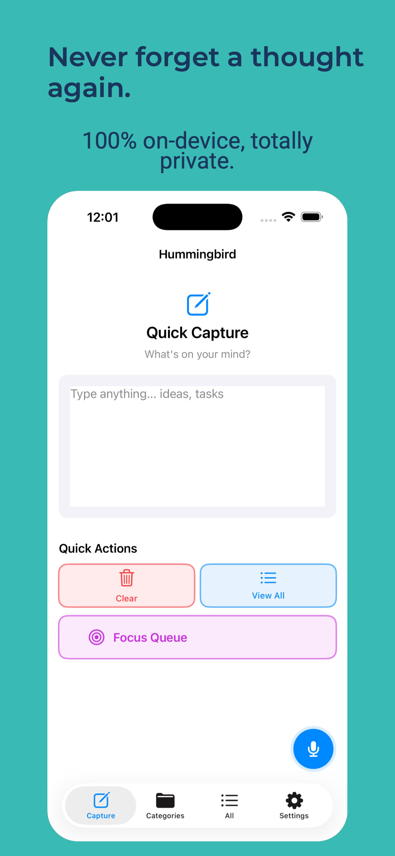 Hummingbird Capture gallery image