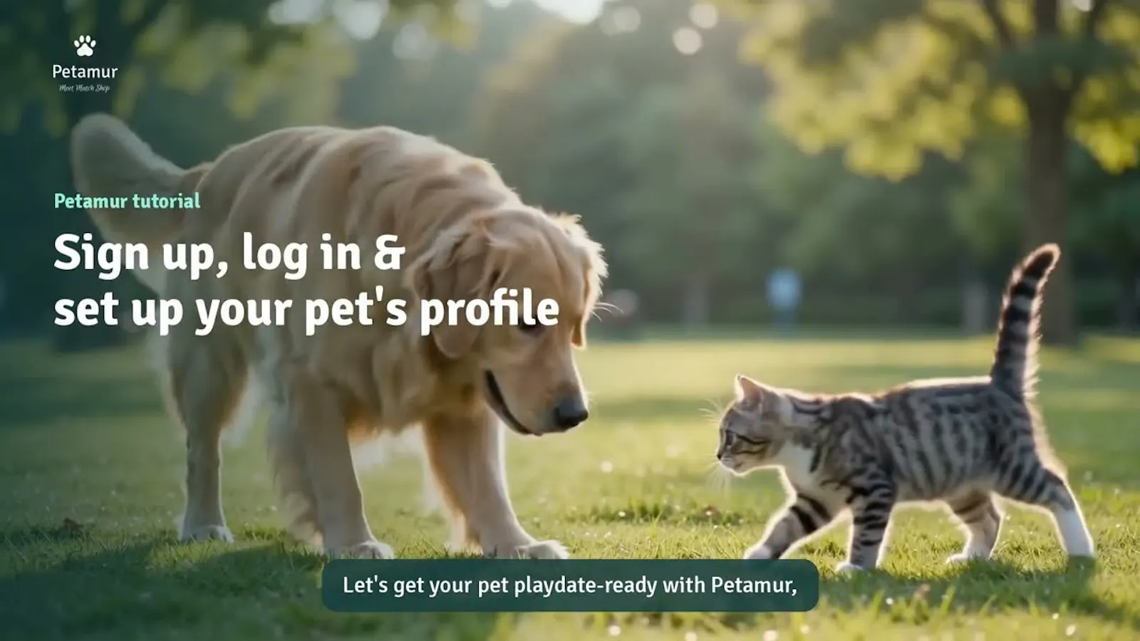 Petamur screenshot 1 (video preview)