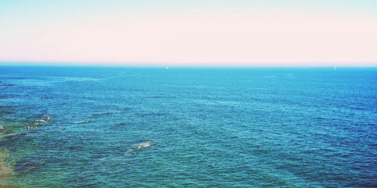 Micael Oliveira cover