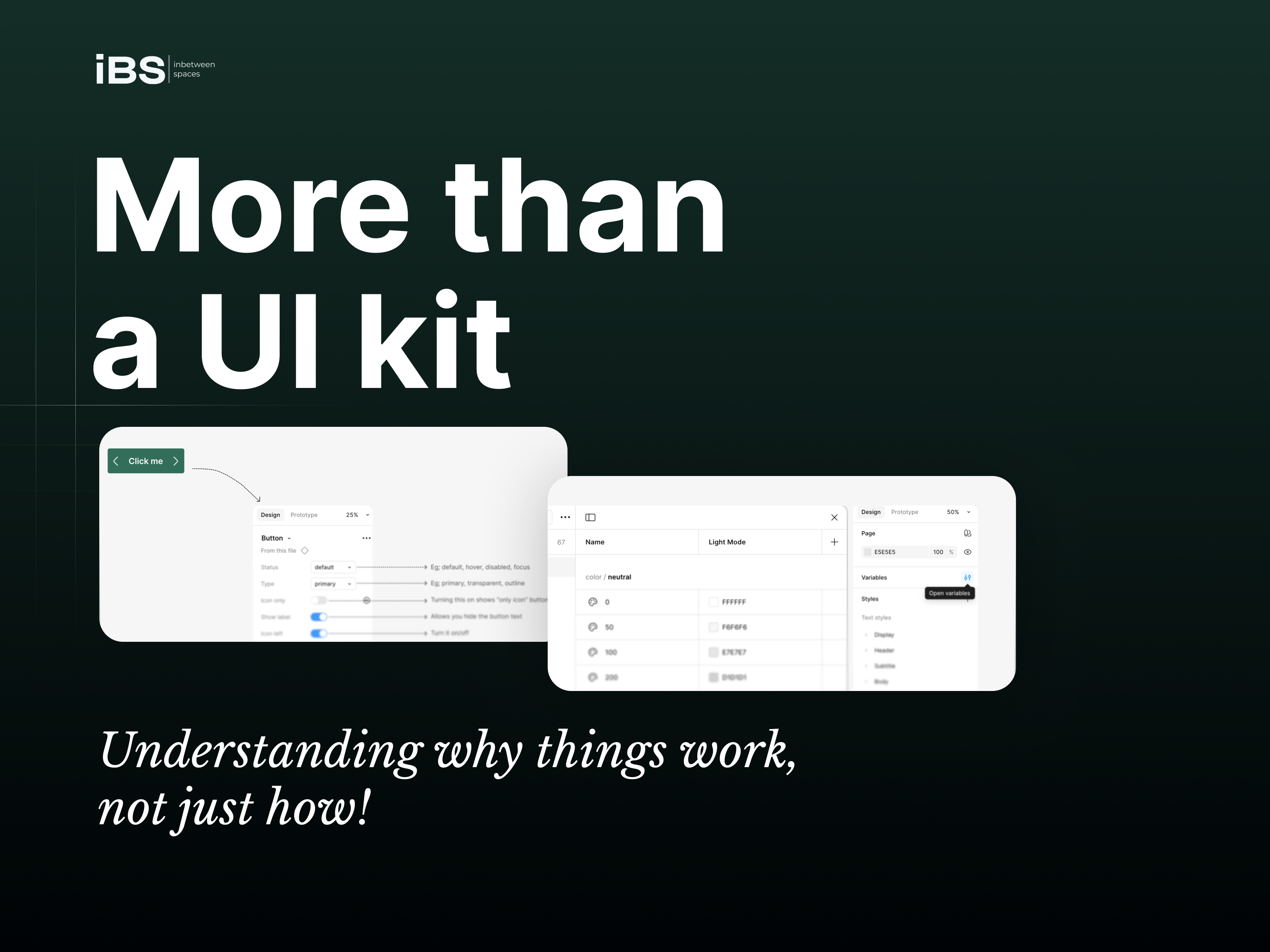 IBS System - Screenshot 2 showing product features and functionality