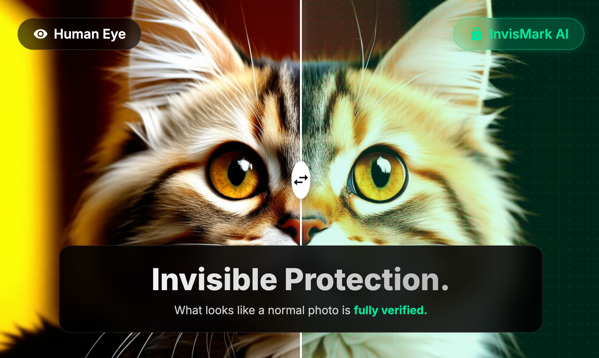 InvisMark gallery image