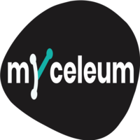 myceleum
