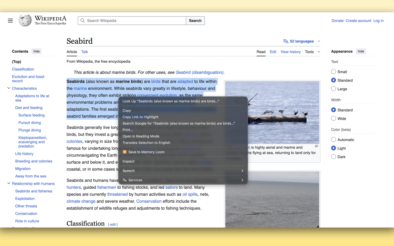 Memory Loom gallery image