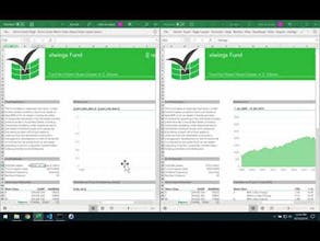 xlwings-reports gallery image