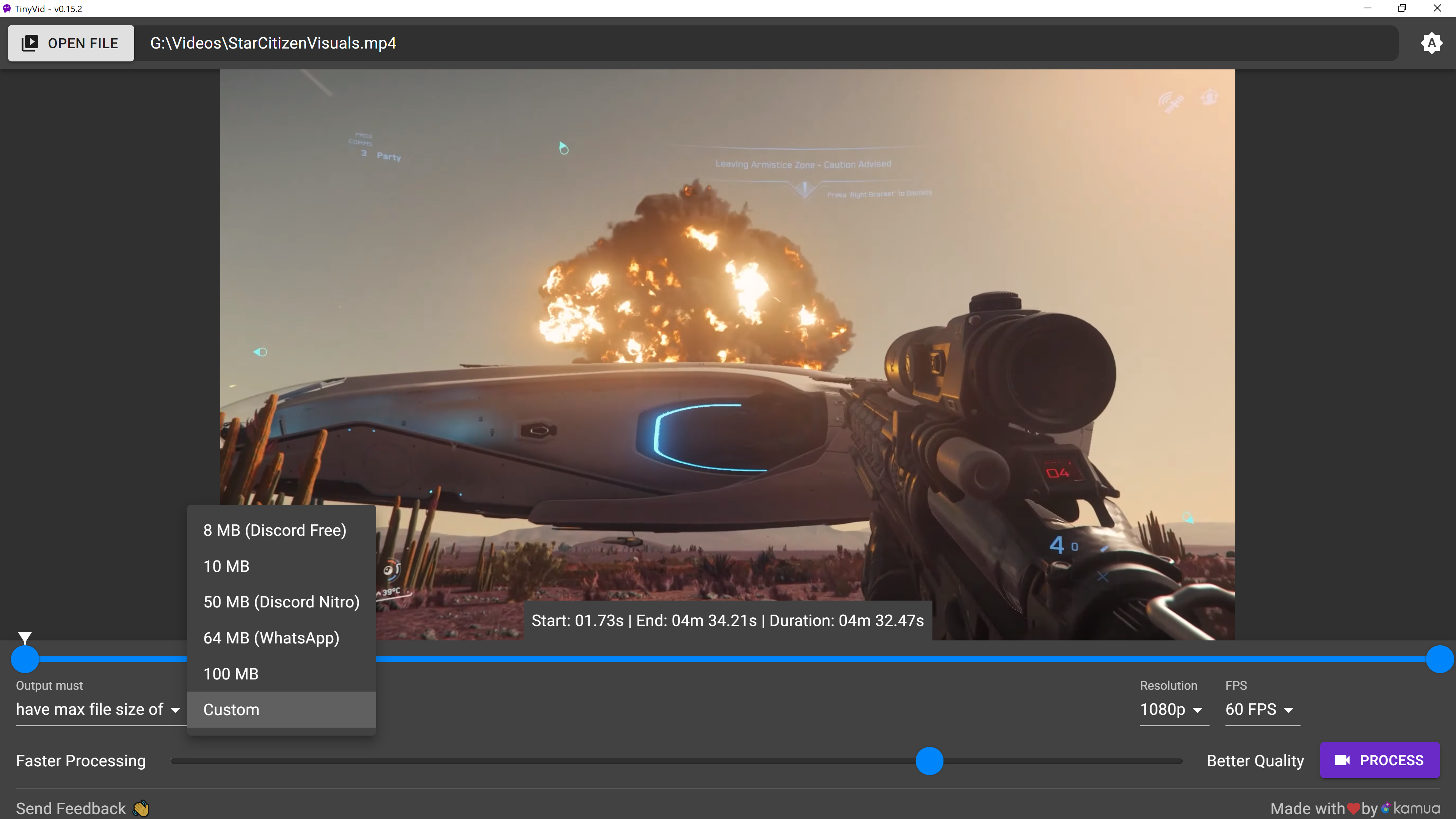 TinyVid gallery image