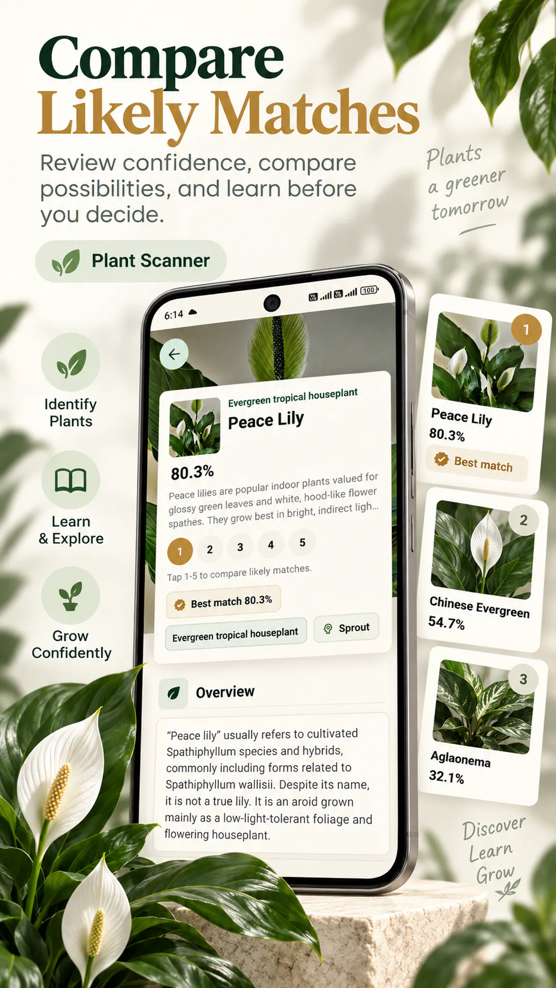 Plant Scanner: Plant ID gallery image