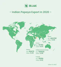 Papaya Production, Cultivation & Trade gallery image