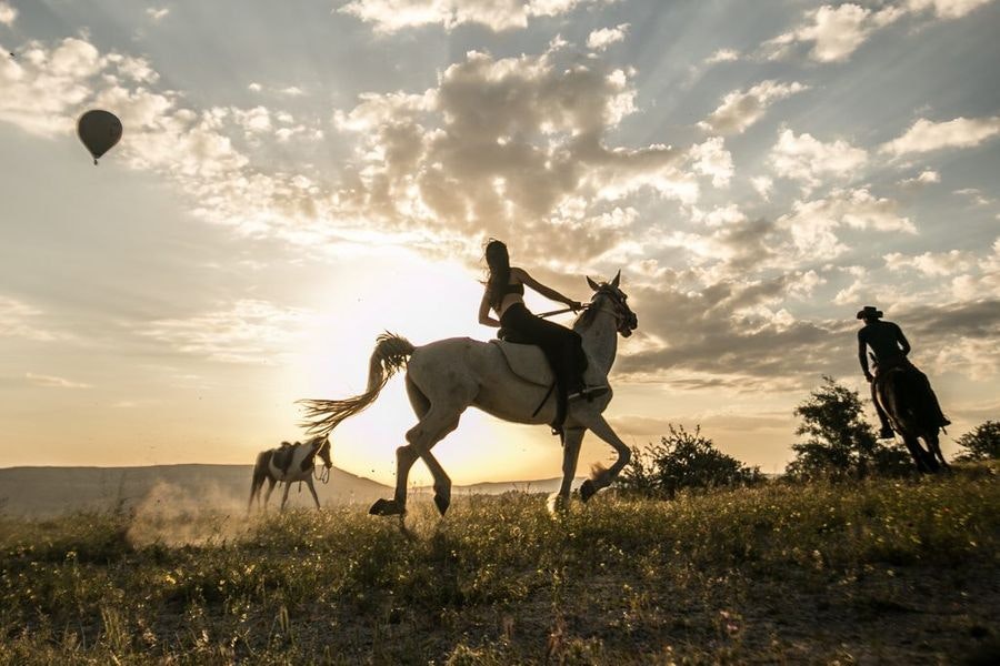 Aktivido gallery image