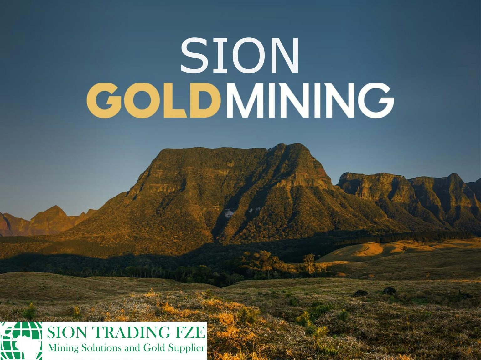 Sion Trading FZE - Fornitore d'oro degli Emirati Arabi Uniti