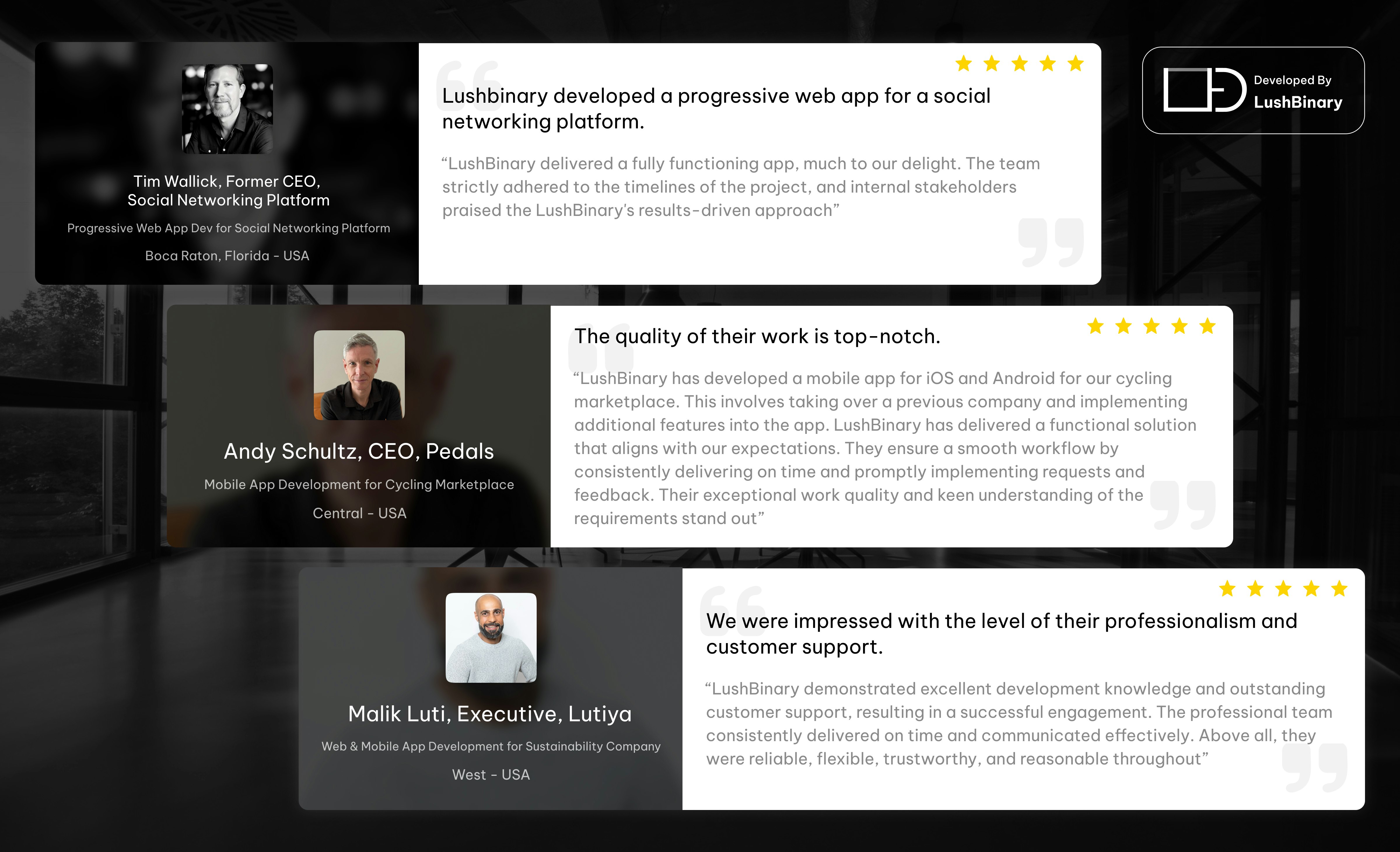 LushBinary gallery image