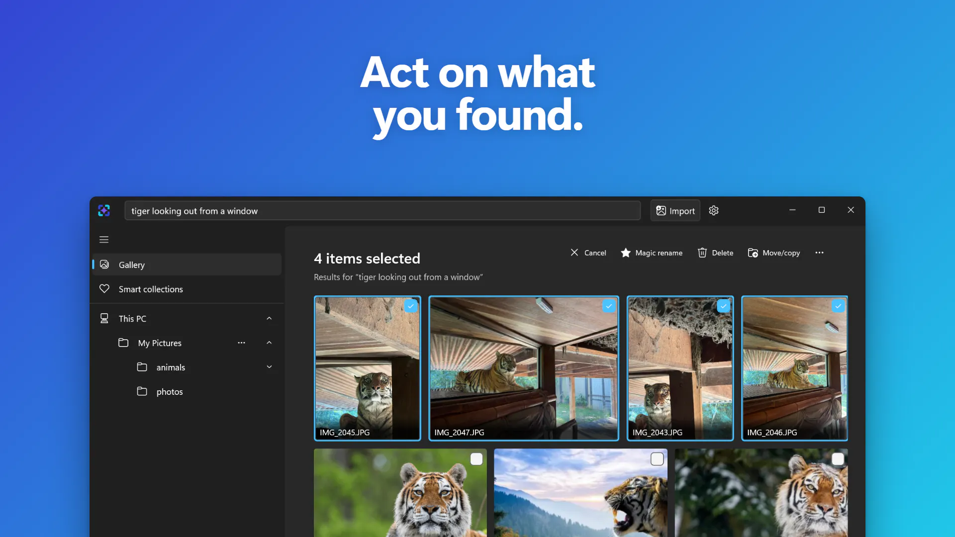 ImageSage AI photo manager gallery image