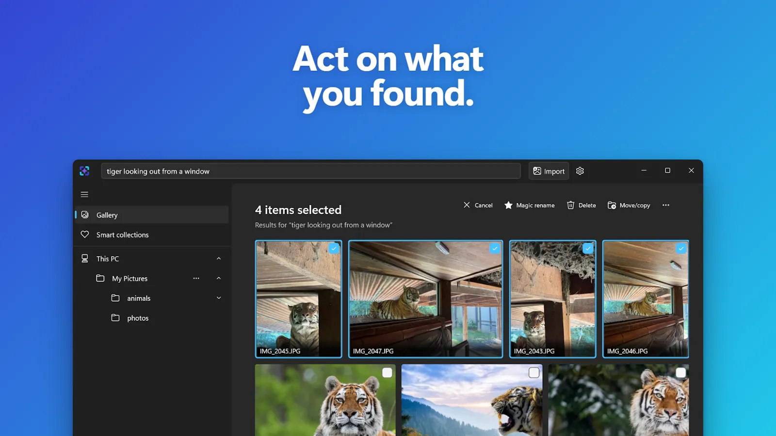 ImageSage AI photo manager screenshot 5
