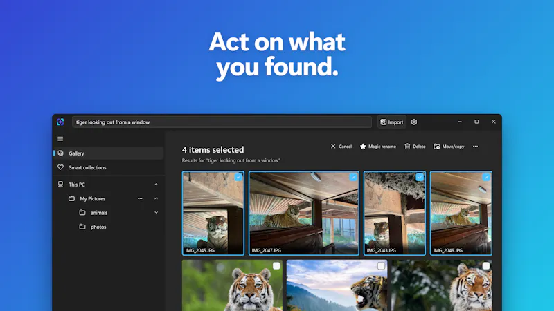 ImageSage AI photo manager screenshot 5