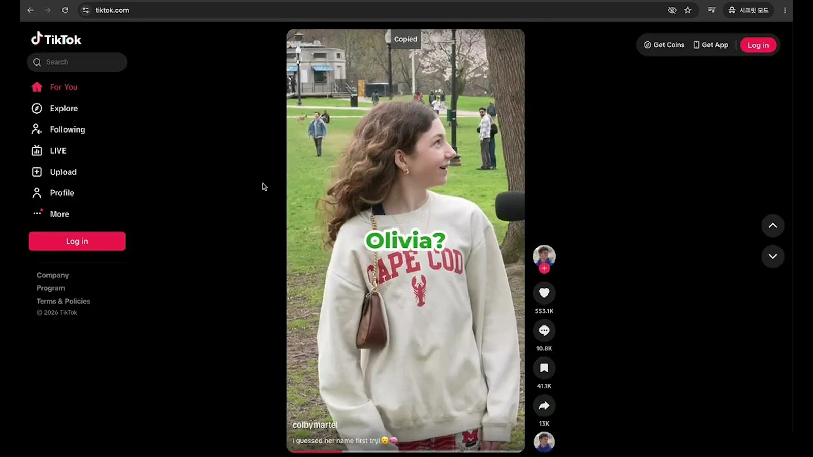 TikStree — Your Personal TikTok Playlist screenshot 1 (video preview)
