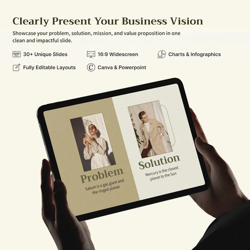Elegant Budget Business Plan Template screenshot 1