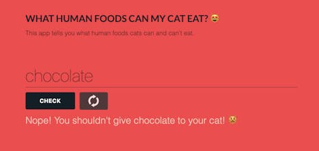 Foods Cats Can Eat gallery image