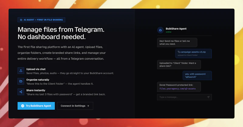 bulkshare.cloud screenshot 7
